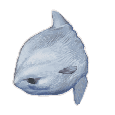 GIF of a fish.