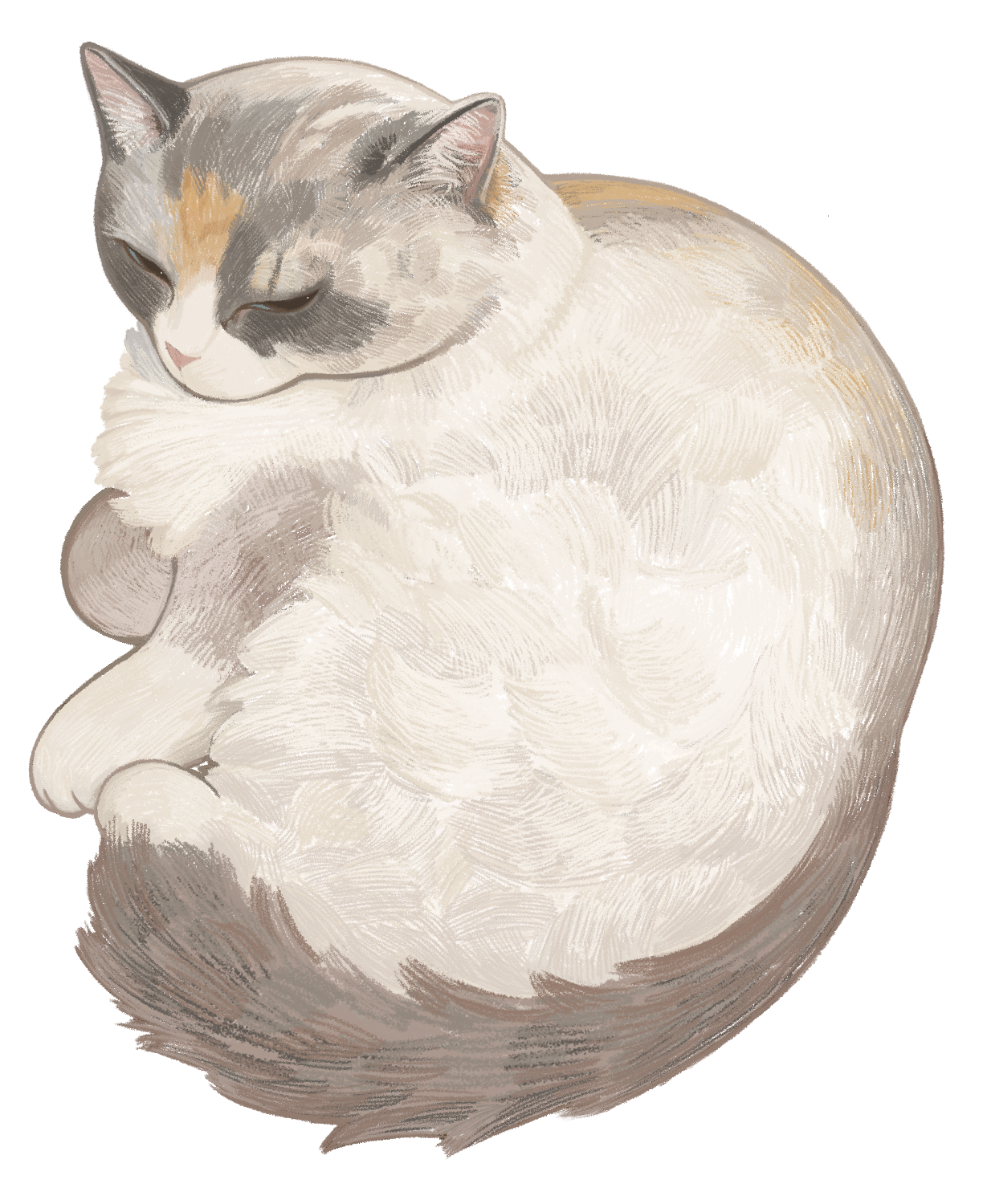 Fluffy the cat.